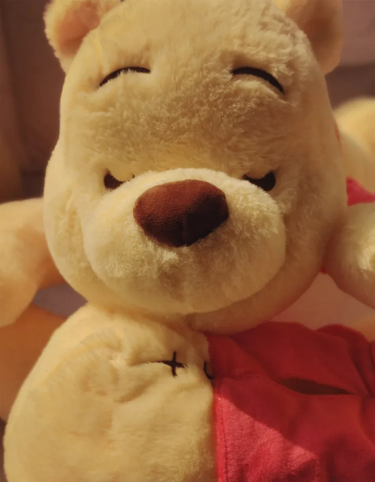 Winnie the Pooh Plush Pillow
