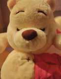 Winnie the Pooh Plush Pillow