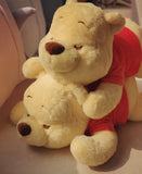 Winnie the Pooh Plush Pillow